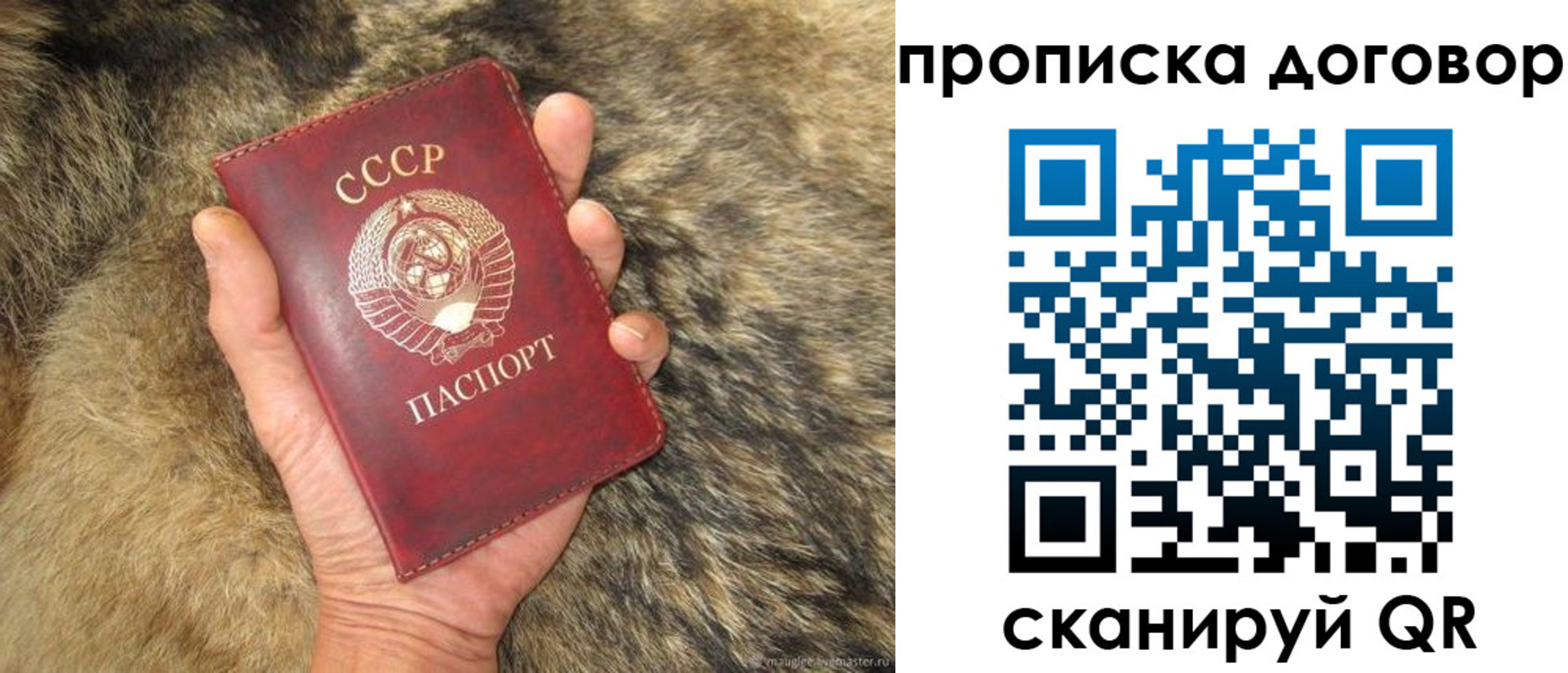прописка регистрация в Ряжске